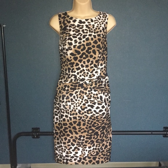 Cache Dresses & Skirts - Cache sz 2 Animal print belted  dress